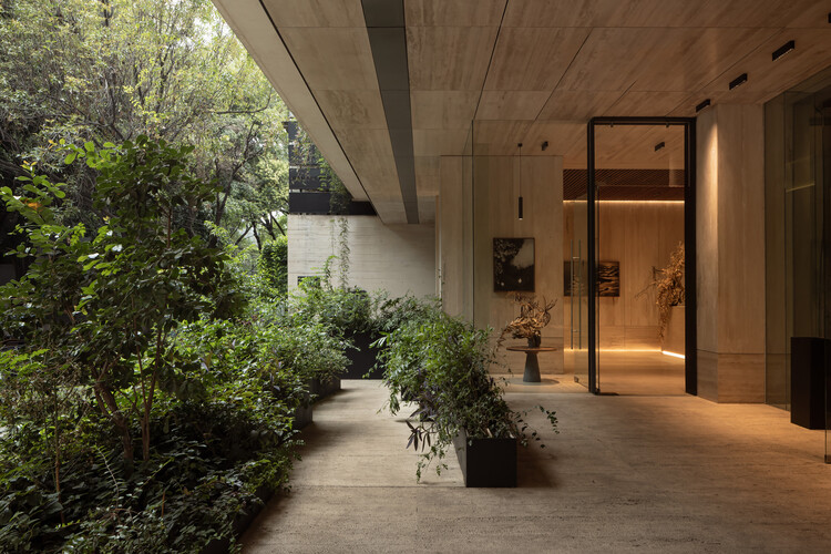 Sinaloa 215 /  Colonnier Arquitectos - Fotografía interior, Madera