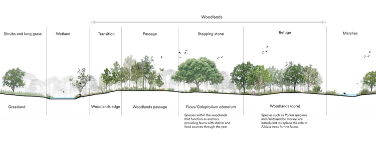 Parque Bidadari / CPG Consultants + Henning Larsen - Imagen 19 de 19