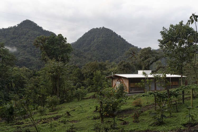 Soul House / Idem - Exterior Photography, Forest