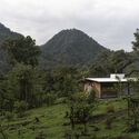 Soul House / Idem - Fotografía exterior, Casas, Bosque