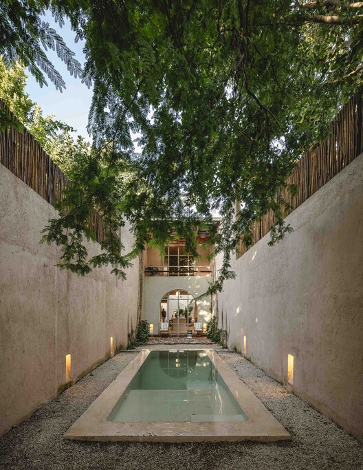 Casa Tamarindo / Studio Moca + Gadex - Imagen 5 de 21