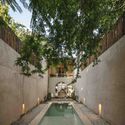Casa Tamarindo / Studio Moca + Gadex - Casas