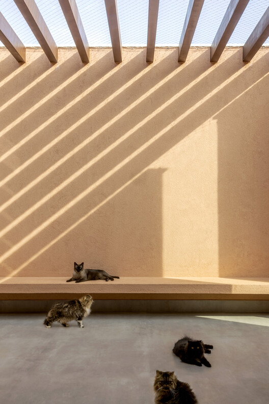 Casa Viva / SAINZ arquitetura - Fotografía interior