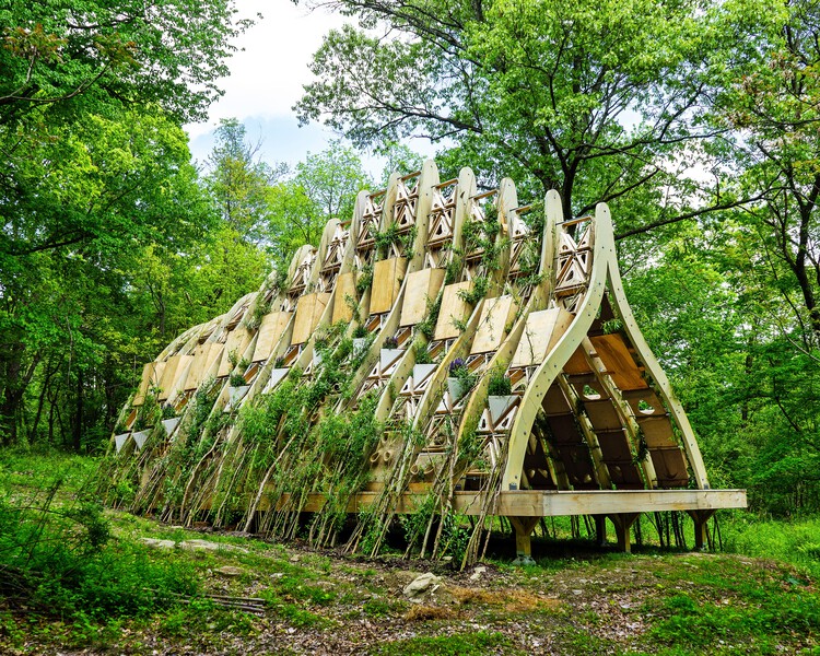 奇幻树屋 / Terreform ONE - 建筑图, 木头, 森林, 花园