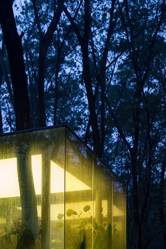 Room Installation / Tamara Wibowo Architects - Exterior Photography, Forest