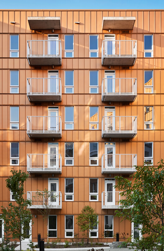 Intergenerational Housing Coop Milieu de l’Île / Pivot coopérative d'architecture - Image 5 of 16