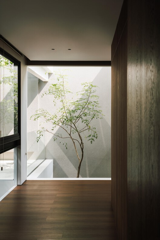 DK.52 House / Studio Avana - Interior Photography, Wood