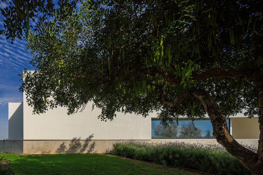 Ria House / Mário Martins Atelier - Exterior Photography, Garden