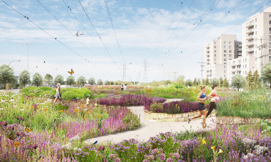 Co-Designing with Nature: How Communities Are Becoming Stewards of Urban Biodiversity - Image 2 of 7