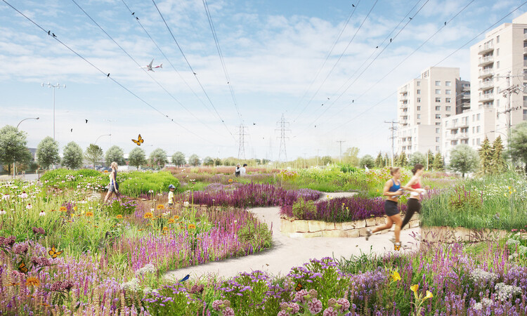 Co-Designing with Nature: How Communities Are Becoming Stewards of Urban Biodiversity - Image 2 of 7
