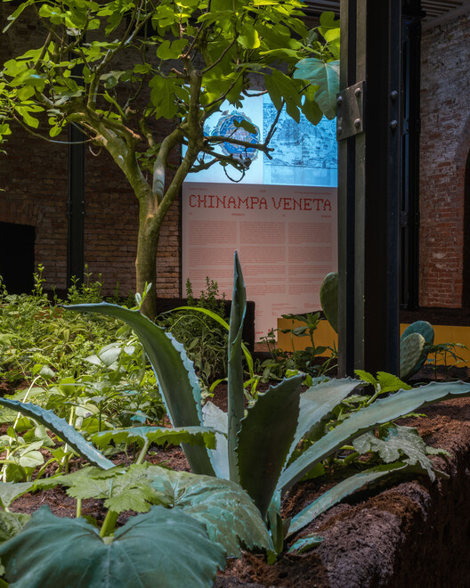 El Pabellón de México en la Bienal de Arquitectura de Venecia explora el potencial ecológico de los sistemas agrícolas ancestrales - Imagen 17 de 26