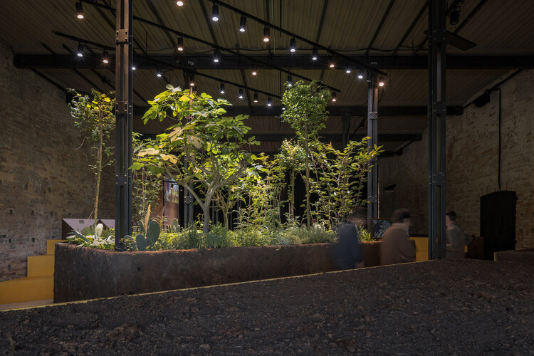 El Pabellón de México en la Bienal de Arquitectura de Venecia explora el potencial ecológico de los sistemas agrícolas ancestrales - Imagen 1 de 26