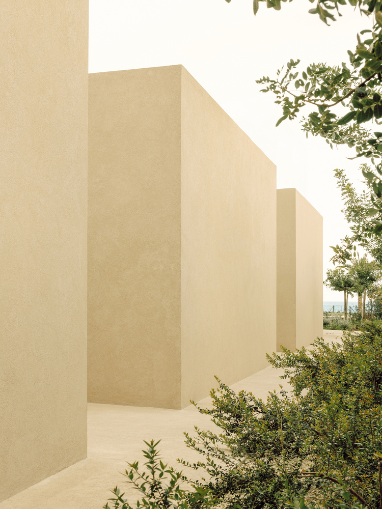 Patio House / Solum Studio