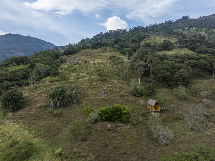 Casa de reforestación Lamarilla / Quena Margarita Gonzalez Escobar + Juan David Hoyos Taborda - Fotografía exterior, Bosque