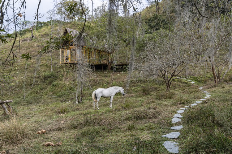 Casa de reforestación Lamarilla / Quena Margarita Gonzalez Escobar + Juan David Hoyos Taborda - Fotografía exterior, Bosque