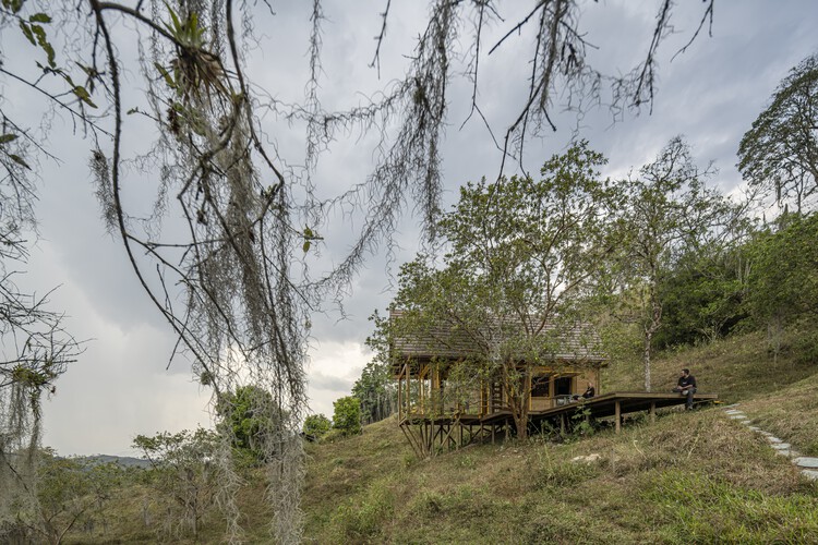 Casa de reforestación Lamarilla / Quena Margarita Gonzalez Escobar + Juan David Hoyos Taborda - Imagen 8 de 33