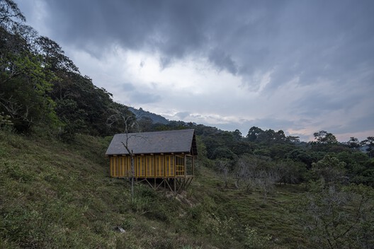 Casa de reforestación Lamarilla / Quena Margarita Gonzalez Escobar + Juan David Hoyos Taborda - Fotografía exterior, Bosque