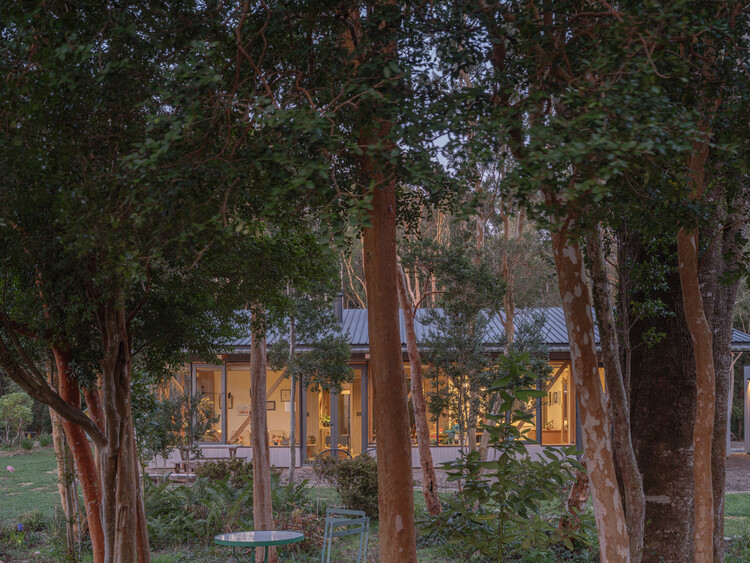Casa el Arboreto / Camila Pineda Arquitectura - Imagen 15 de 22