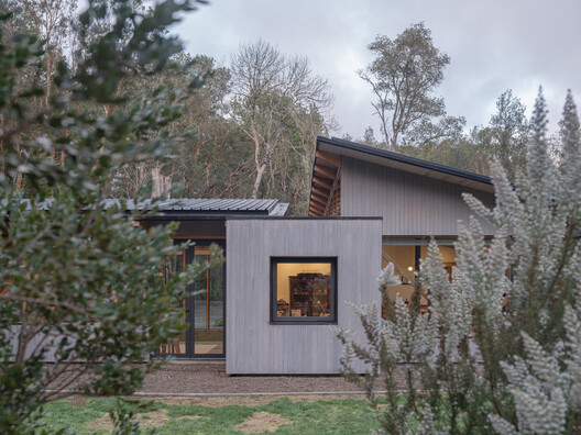The Arboreto House / Camila Pineda Arquitectura - Exterior Photography, Garden