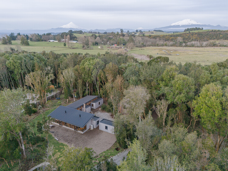 Casa el Arboreto / Camila Pineda Arquitectura - Imagen 17 de 22