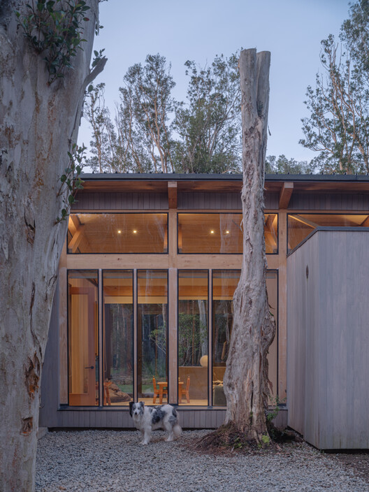 The Arboreto House / Camila Pineda Arquitectura - Exterior Photography, Wood, Door