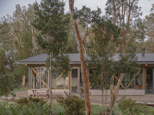 The Arboreto House / Camila Pineda Arquitectura - Exterior Photography, Wood