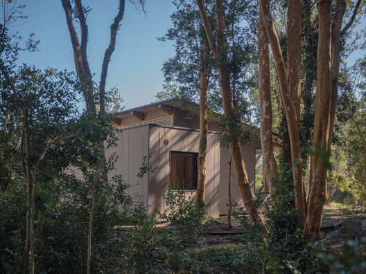 The Arboreto House / Camila Pineda Arquitectura - Exterior Photography, Wood
