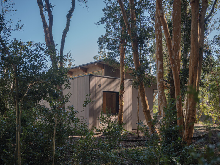 Casa el Arboreto / Camila Pineda Arquitectura - Fotografía exterior, Madera