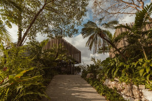 Solai House / Studio Saxe - Image 8 of 53