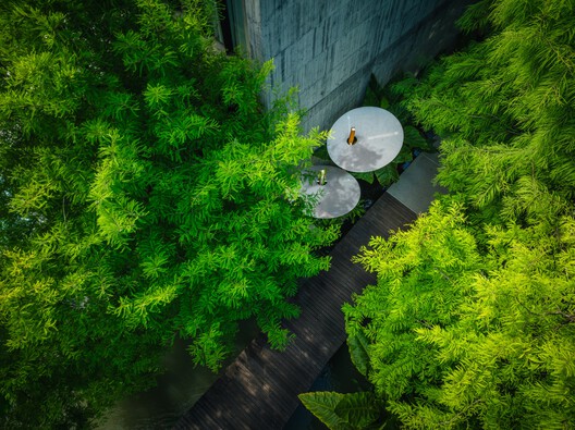 Structural Botany: 25AP-263-43 / Cheng Tsung FENG Design Studio - Image 18 of 20