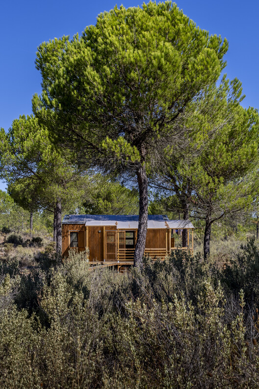 Atlantica TOW / Madeiguincho - Fotografia de Exterior, Madeira