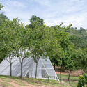 Khanong Phra Campsite / PHTAA Living Design - Greenhouse