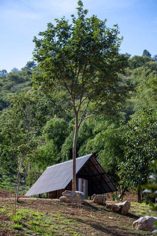 Acampamento Khanong Phra / PHTAA Living Design - Fotografia de Exterior, Madeira, Floresta