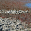 A Different Type of Rurality: Designs for Post-Industrial Heritage Transformation - Image 5 of 41
