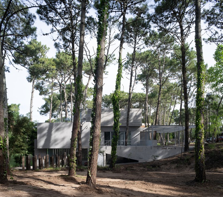 Casa Choique / Estudio Galera - Imagen 6 de 32