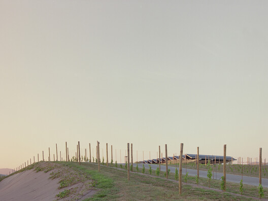 Planta de Producción de Vino Monte Rossa/ aa-ls luigi serboli architetti - Imagen 12 de 14
