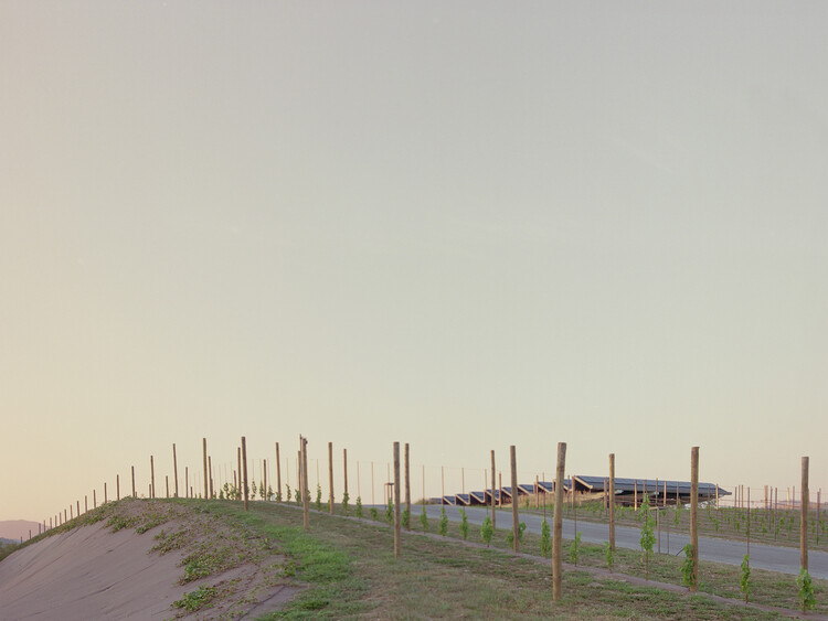 Planta de Producción de Vino Monte Rossa/ aa-ls luigi serboli architetti - Imagen 12 de 14