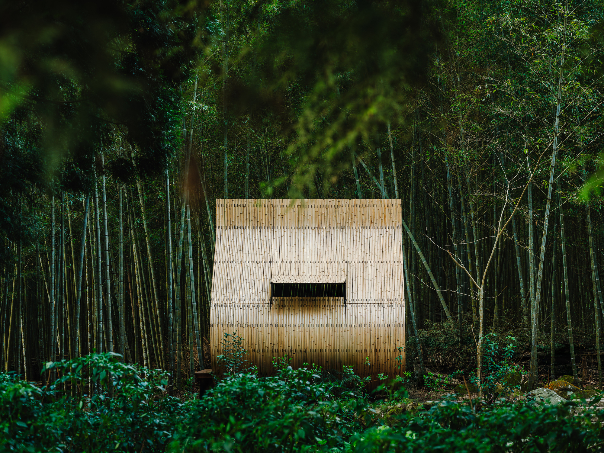 www.archdaily.com