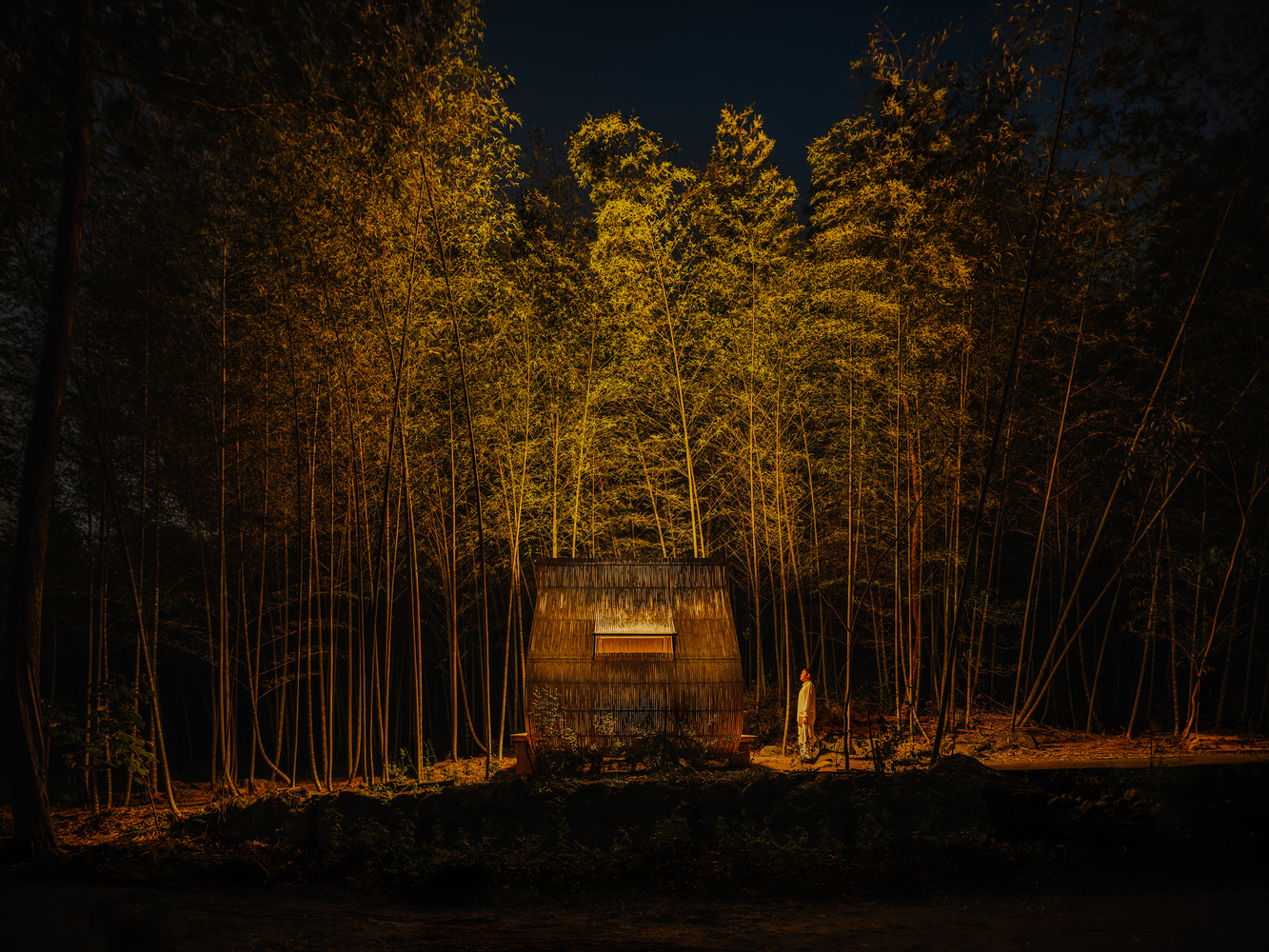 Gallery of Bamboo Cabin Plan : Sticky Rice Dumpling / Cheng Tsung FENG ...