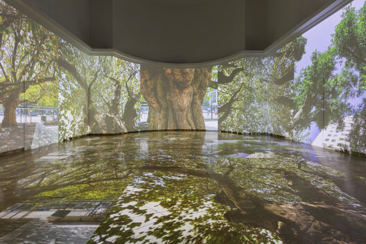 The German Pavilion Tests Urban Limits in a Warmer World at the 2025 Venice Architecture Biennale - Image 4 of 36