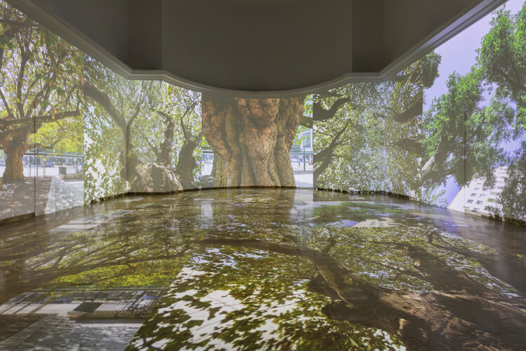 The German Pavilion Tests Urban Limits in a Warmer World at the 2025 Venice Architecture Biennale - Image 4 of 36