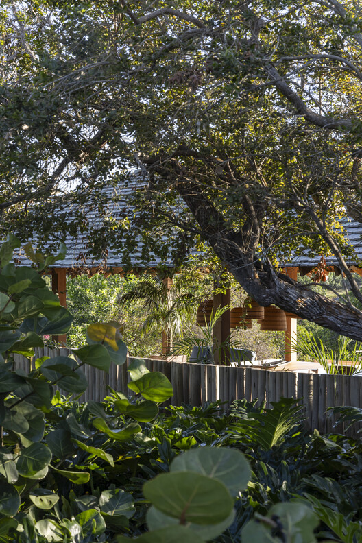 Ība House / Daniel Fromer - Image 10 of 23