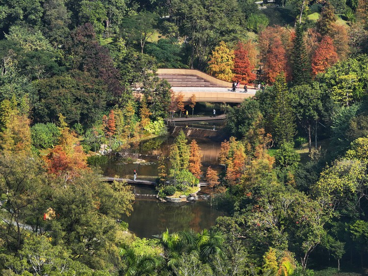 广州云溪植物园 / AECOM+广州园林建筑规划设计研究总院+华南理工大学建筑设计研究院 - 建筑图, 花园, 森林