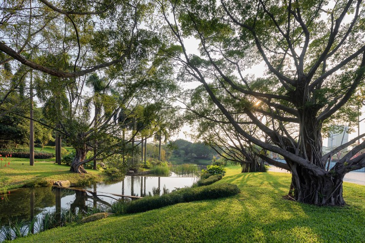 广州云溪植物园 / AECOM+广州园林建筑规划设计研究总院+华南理工大学建筑设计研究院 - 19 的图像 33