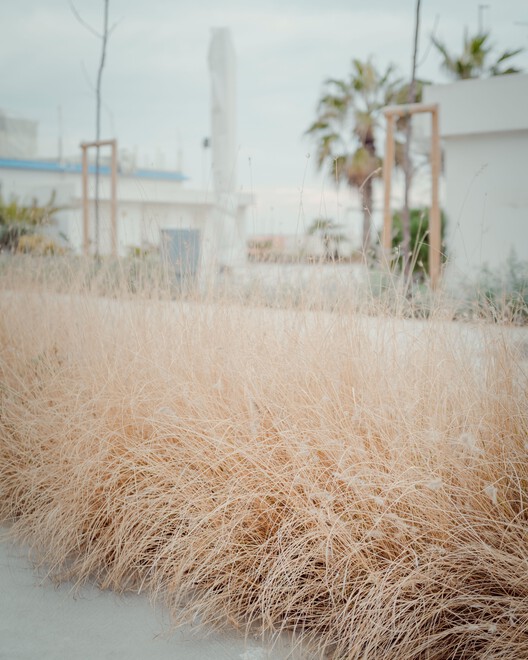 Gabicce Mare Seaside Promenade / Architects Barbara Balassone + Gianluca Mazzari - Image 16 of 25