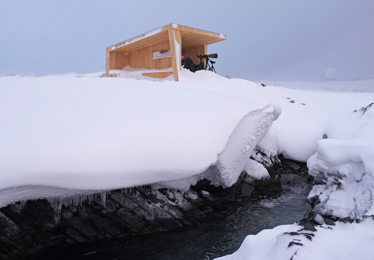 Of a Feather: The Hidden Architecture of Bird Watching - Image 11 of 30