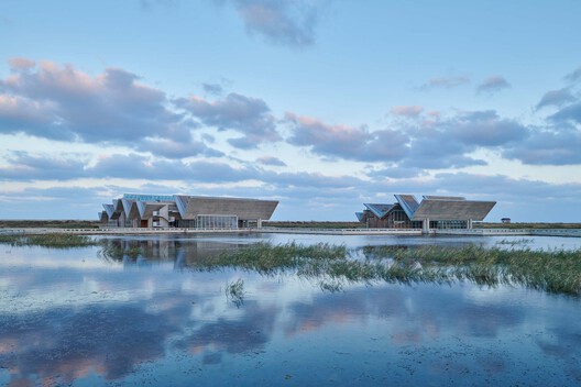 Of a Feather: The Hidden Architecture of Bird Watching - Image 24 of 30