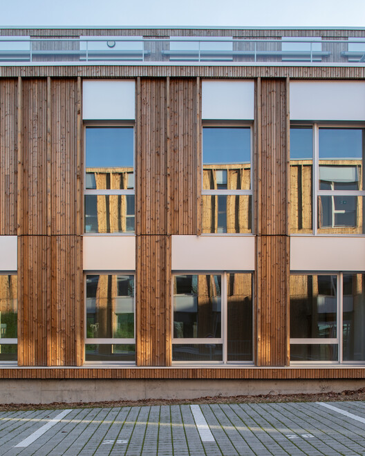 Bois Harel Tertiary Complex / ALTA - Interior Photography, Wood