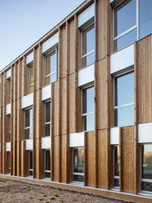 Bois Harel Tertiary Complex / ALTA - Exterior Photography, Wood