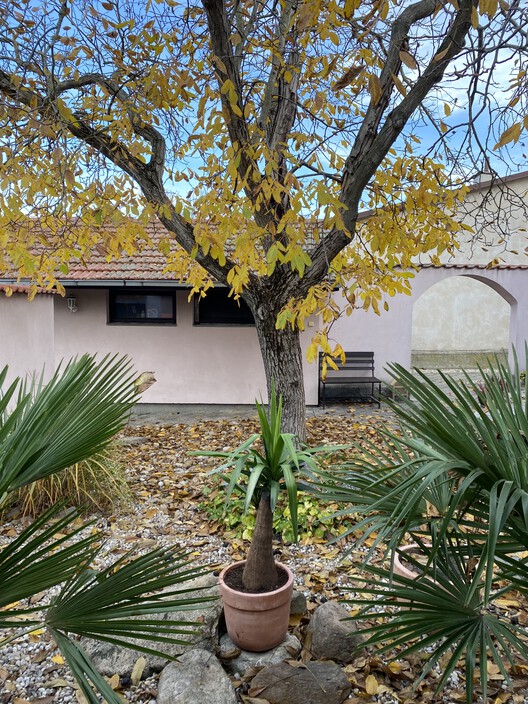 Reconstruction of a Reconstructed House / Kilo / Honc - Exterior Photography, Garden